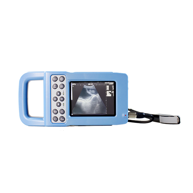 Máquina de Ultrassom Veterinária para Pecuária